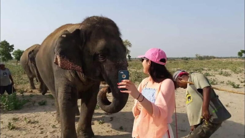 Delhi: Sunrise Taj Mahal & Elephant SOS Tour with Transfers - Strolling Through Agra Fort