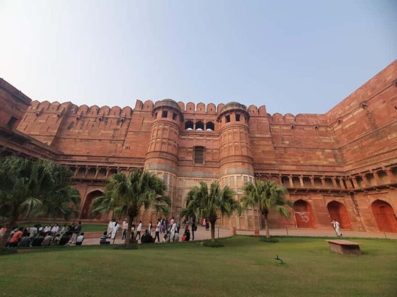 Delhi: Sunrise Taj Mahal & Elephant SOS Tour with Transfers - Wrap-up and Return to Delhi
