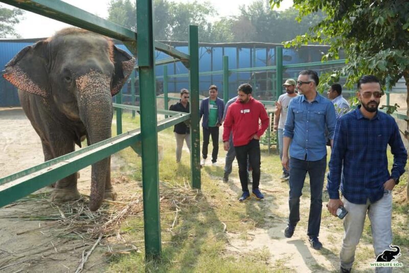 Delhi: Taj Mahal & Agra Fort with Elephant Wildlife SOS Tour - Visiting the Taj Mahal: A Timeless Wonder
