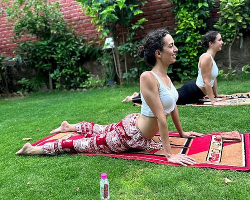 Delhi: Traditional Indian Yoga Experience - Exploring the Experience: What You Can Expect