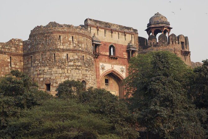 Delhi Zoo White Tigers & lions with Old Fort Visit - Key Points