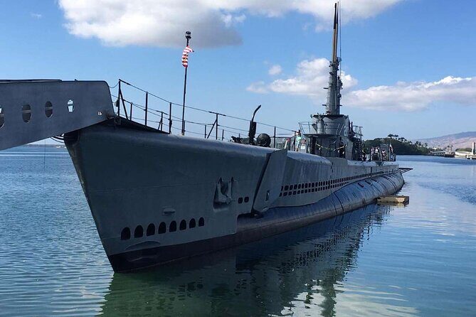 Deluxe Arizona Memorial Bowfin Submarine and Honolulu City Tour - Who Will Love This Tour?