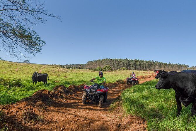 Deluxe ATV Waterfall and Swim Experience - Key Points