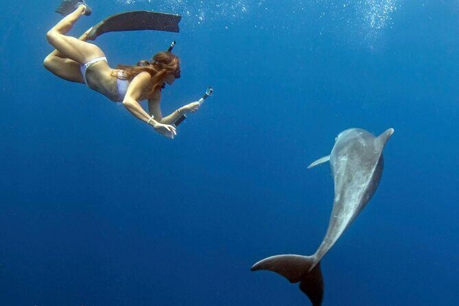 Deluxe Catamaran Swim with Dolphins in Oahu with Waterslide - The Crew & Overall Atmosphere