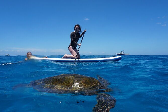 Deluxe Catamaran Swim with Dolphins in Oahu with Waterslide - Practical Details & What They Mean for You