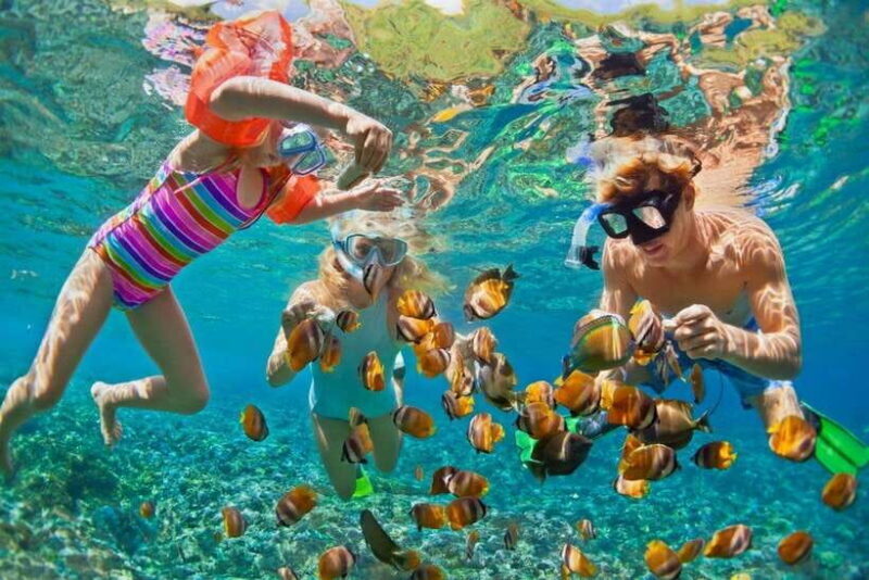 Deluxe Daily Tour-Snorkeling & BBQ & Mud Bath from Nha Trang - Lunch: A Generous BBQ Feast