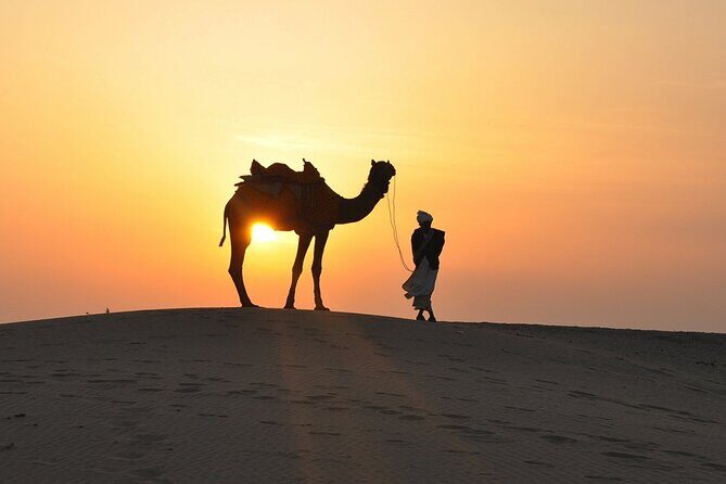 Deluxe Dubai Desert Safari with BBQ Dinner - Final Thoughts
