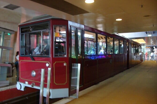 Deluxe Hong Kong City Tour using Mercedes-Benz V-Class Car+ Guide - Setting the Scene: Hong Kong in a Private Luxury Ride