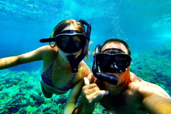 Deluxe Morning Snorkeling Adventure - The Boat Experience