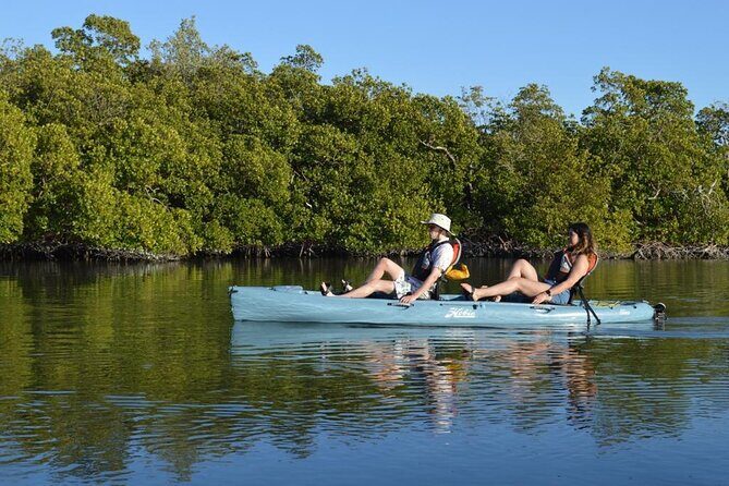 Deluxe Pedal Kayak Tour Marco Island and Naples, Florida - The Itinerary in Detail