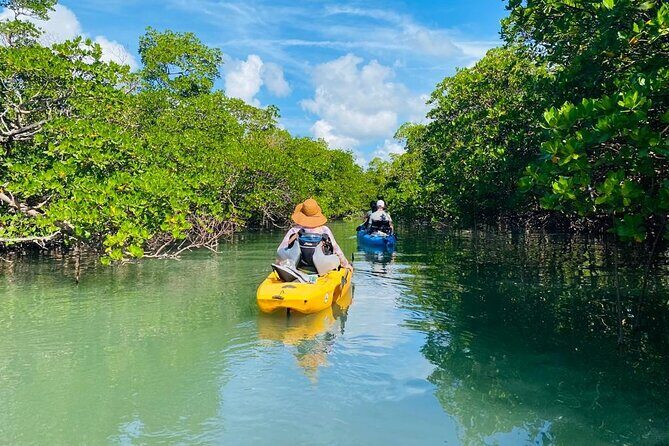 Deluxe Pedal Kayak Tour Marco Island and Naples, Florida - The Experience for Different Types of Travelers