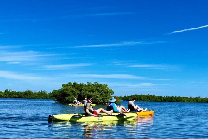 Deluxe Pedal Kayak Tour Marco Island and Naples, Florida - Authentic Reviews Highlighting the Experience