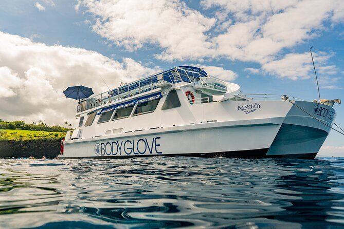 Deluxe Snorkel & Dolphin Watch Aboard a Luxury Catamaran from Kailua-Kona - An In-Depth Look at the Experience