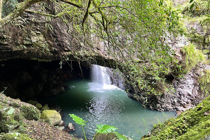 Deluxe Springbrook & Mt Tamborine Glow Worms and famous Skywalk - Itinerary Breakdown: What You Can Expect