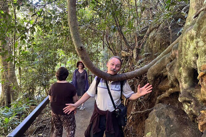 Deluxe Springbrook & Mt Tamborine Glow Worms and famous Skywalk - FAQ
