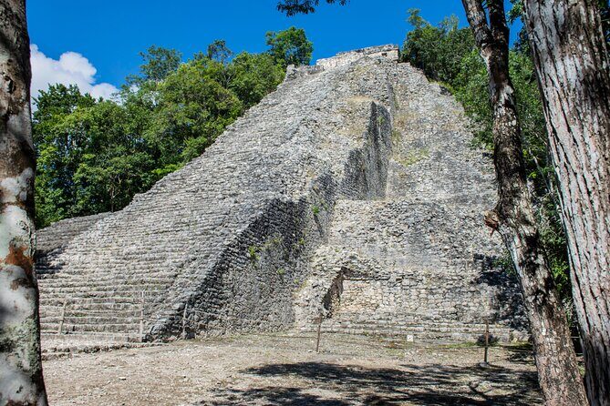 Deluxe Tour 4x1 Tulum, Coba, Cenote Kuxtal and Playa Del Carmen - Food and Drink