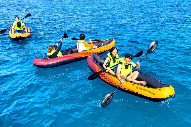Deluxe Turtle Snorkeling Escapade at Waikiki - An In-Depth Look at the Deluxe Turtle Snorkeling Escapade