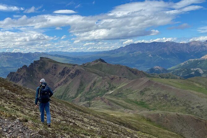 Denali 4 Hour Hiking Adventure with Naturalist Guide - The Value of the Experience