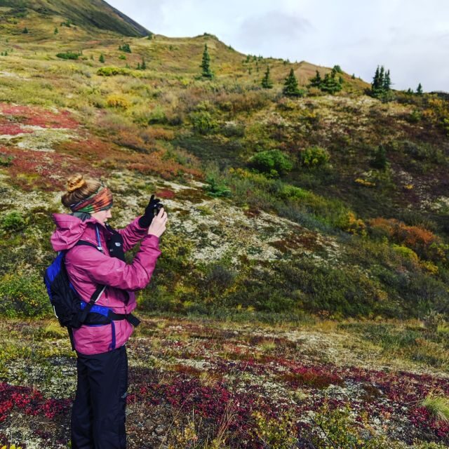 Denali: 5-Hour Guided Wilderness Hiking Tour - An In-Depth Look at What You Can Expect