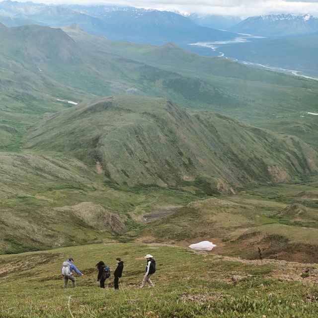 Denali: 5-Hour Guided Wilderness Hiking Tour - Practical Tips for Making the Most of Your Hike