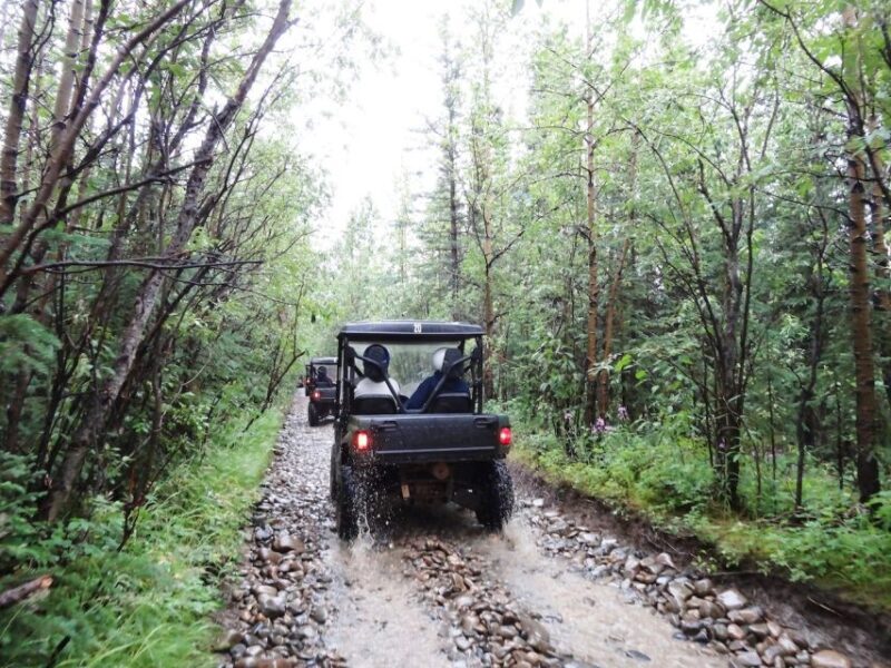 Denali: ATV Trailblazer Tour - Understanding the Value