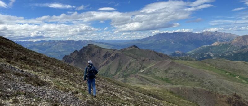 Denali: Denali National Park Walking Tour - Detailed Breakdown of the Itinerary