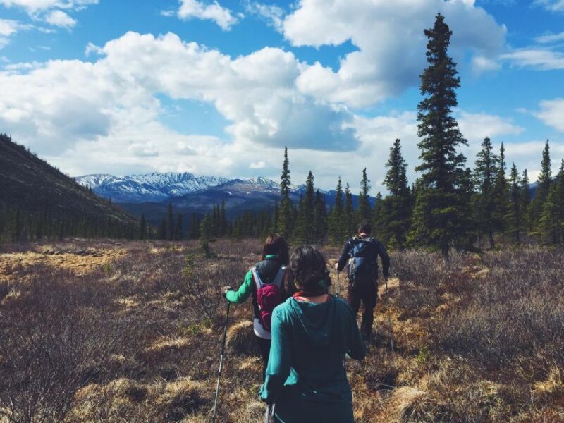 Denali: Denali National Park Walking Tour - Final Thoughts: Who Will Love This Tour?
