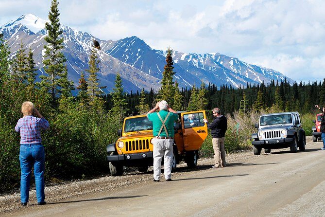 Denali Highway Jeep Excursion - What Some Travelers Say
