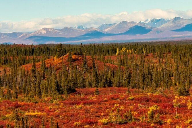 Denali Highway Overnight Excursion - Who Will Love This Tour?