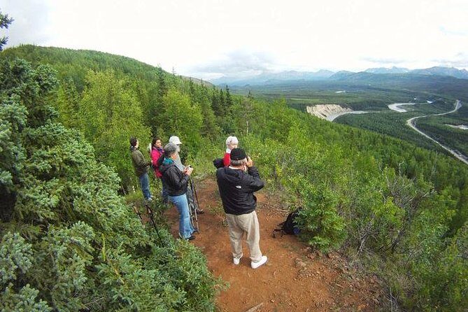 Denali Hiking Tour - Key Points
