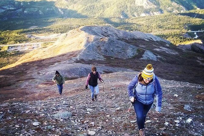 Denali Hiking Tour - The Experience in Detail