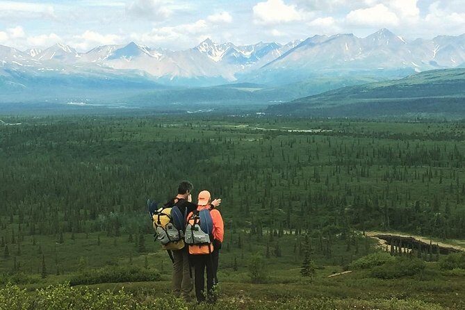 Denali Hiking Tour - Who Will Love This Tour?