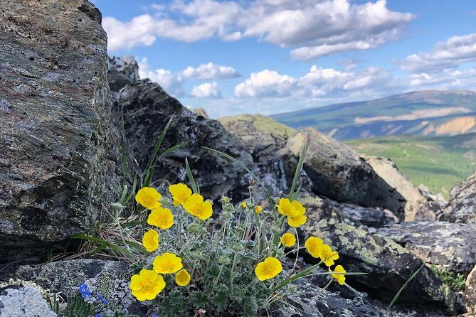 Denali Hiking Tour - FAQ