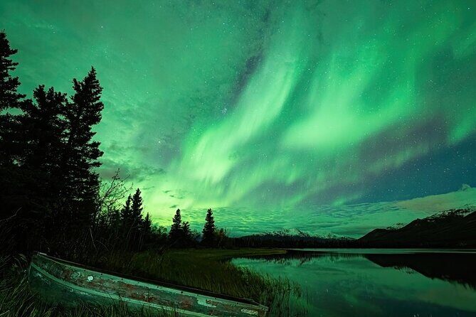 Denali National Park plus Aurora Chase Tour - Transport, Timing, and Group Size