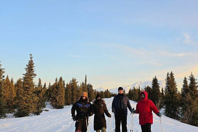 Denali National Park plus Aurora Chase Tour - What We Loved