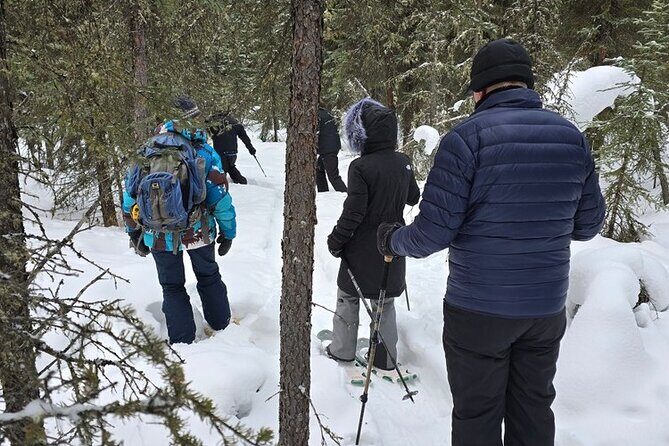Denali National Park plus Aurora Chase Tour - FAQs
