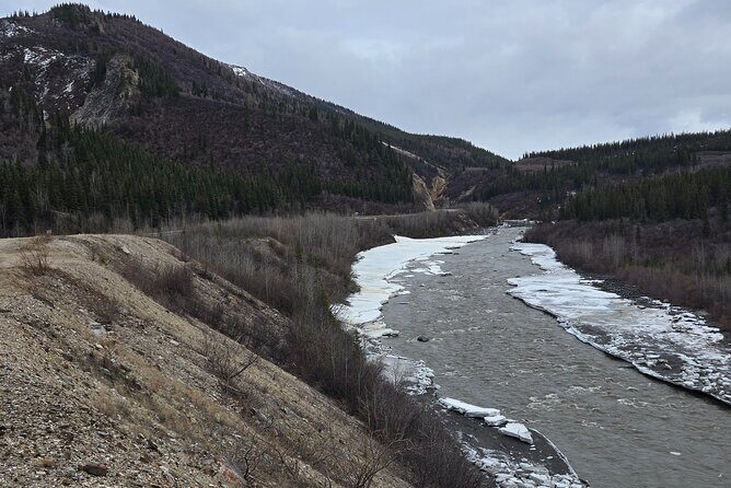 Denali National Park Shuttle - Key Points