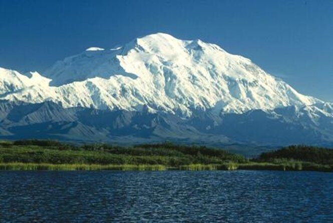 Denali National Park Walking Tour - Practical Details: Pricing, Duration, and What’s Included