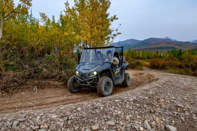 Denali National Park: Wilderness ATV Adventure - Introduction