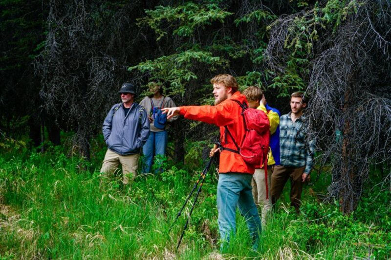 Denali: Naturalist Walking Tour in Denali National Park - What to Expect on the Denali Naturalist Walking Tour