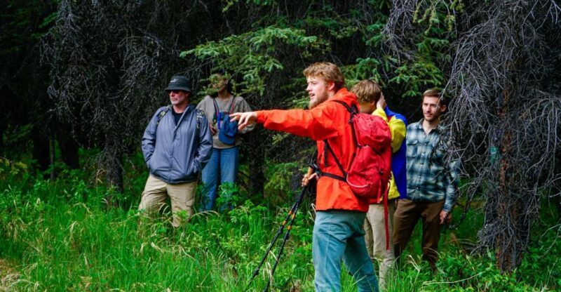 Denali: Naturalist Walking Tour in Denali National Park - How Does It All Come Together?