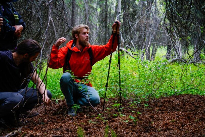 Denali: Naturalist Walking Tour in Denali National Park - Frequently Asked Questions