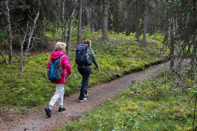 Denali Nature Hike - FAQs