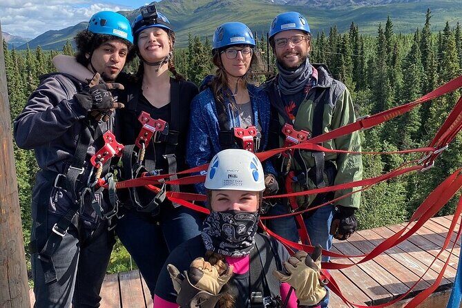 Denali Park Zipline Adventure - What to Expect During Your Zipline Adventure