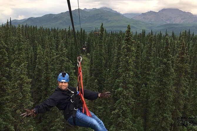 Denali Park Zipline Adventure - Who Will Love This Tour?