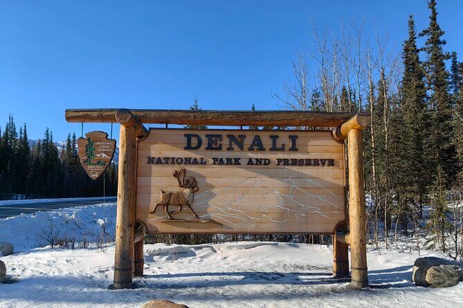 Denali Summer Winter Trial Shuttle with Professional Camera - The Sum Up