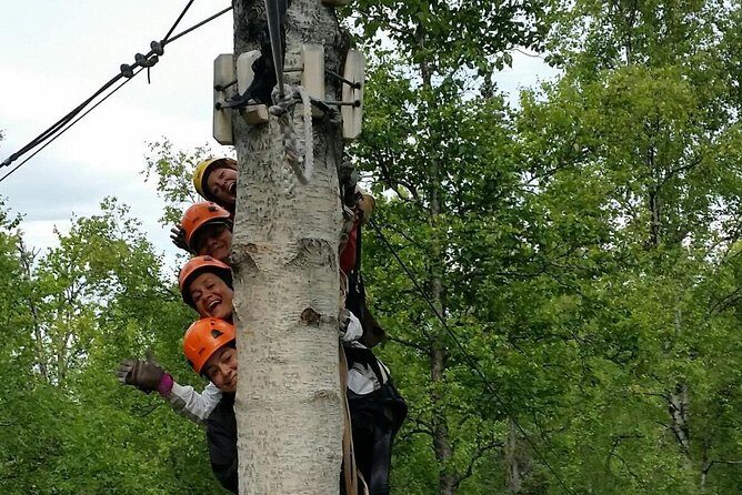Denali Zipline Tour in Talkeetna, AK - A Closer Look at the Experience