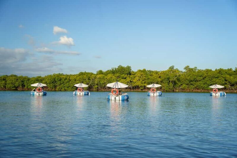 Denarau: Self Drive BBQ eBoat Cruise with Onboard BBQ Fiji - An Honest Look at the Experience