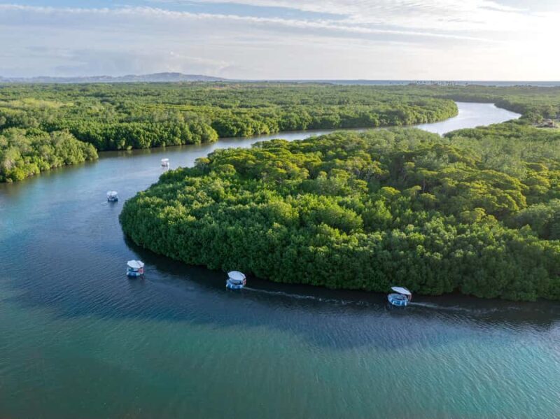 Denarau: Self Drive BBQ eBoat Cruise with Onboard BBQ Fiji - Pricing & Value