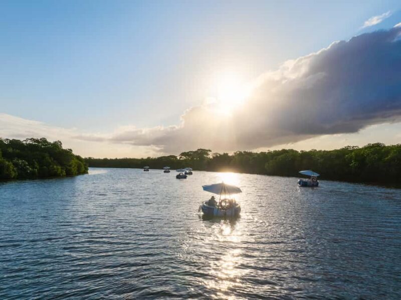 Denarau: Self Drive BBQ eBoat Cruise with Onboard BBQ Fiji - Who Is This Tour Best For?
